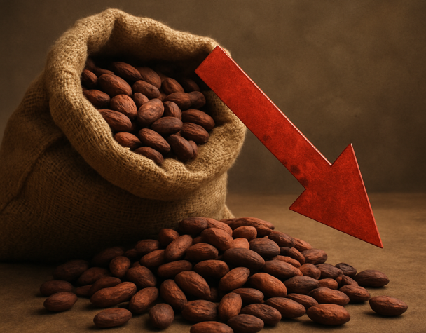 Cocoa Prices Decline Amid Improved Supply and Weakened Demand